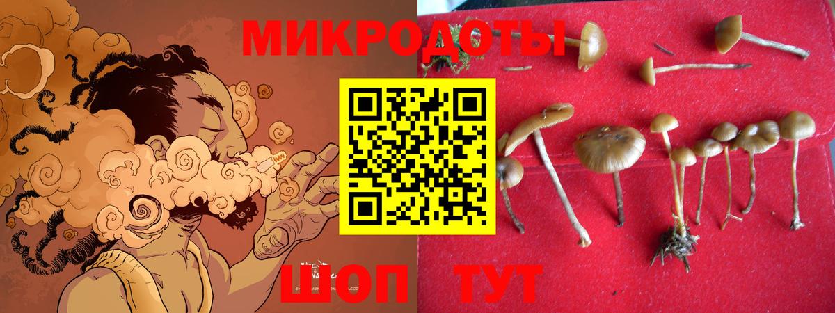 Галлюциногенные грибы Magic Shrooms Усть-Джегута