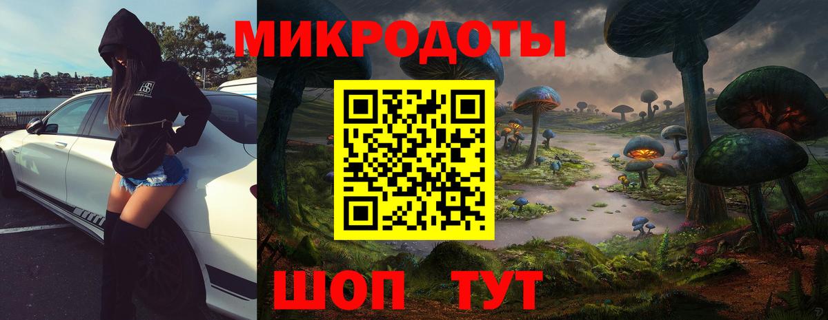 где найти   Вход с VPN  Усть-Джегута  Псилоцибиновые грибы мухоморы 